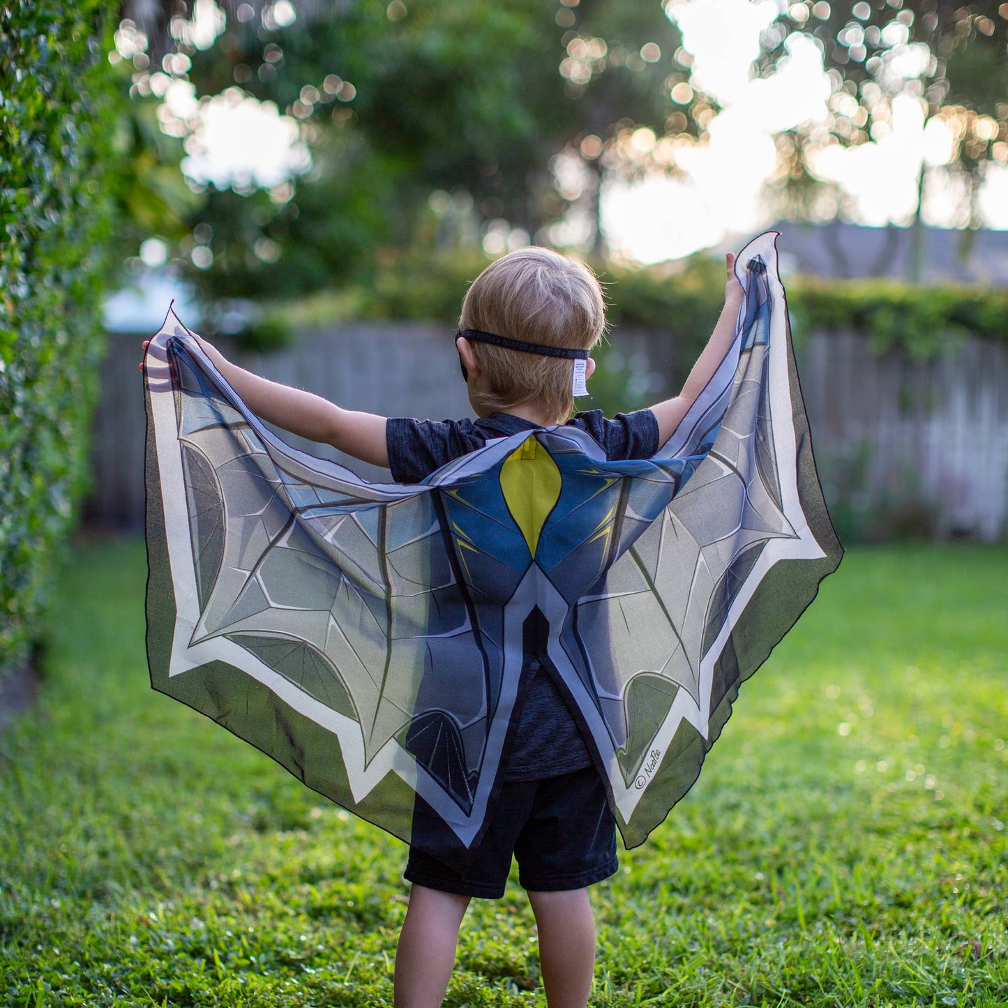 Dress Up Bat Wings w/ Mask