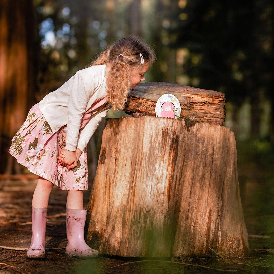 Wooden Fairy Door