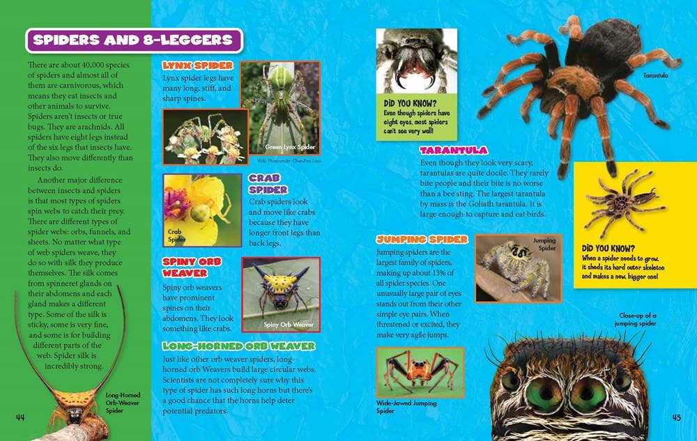 Bugs and Spiders hardcover book page about spiders.