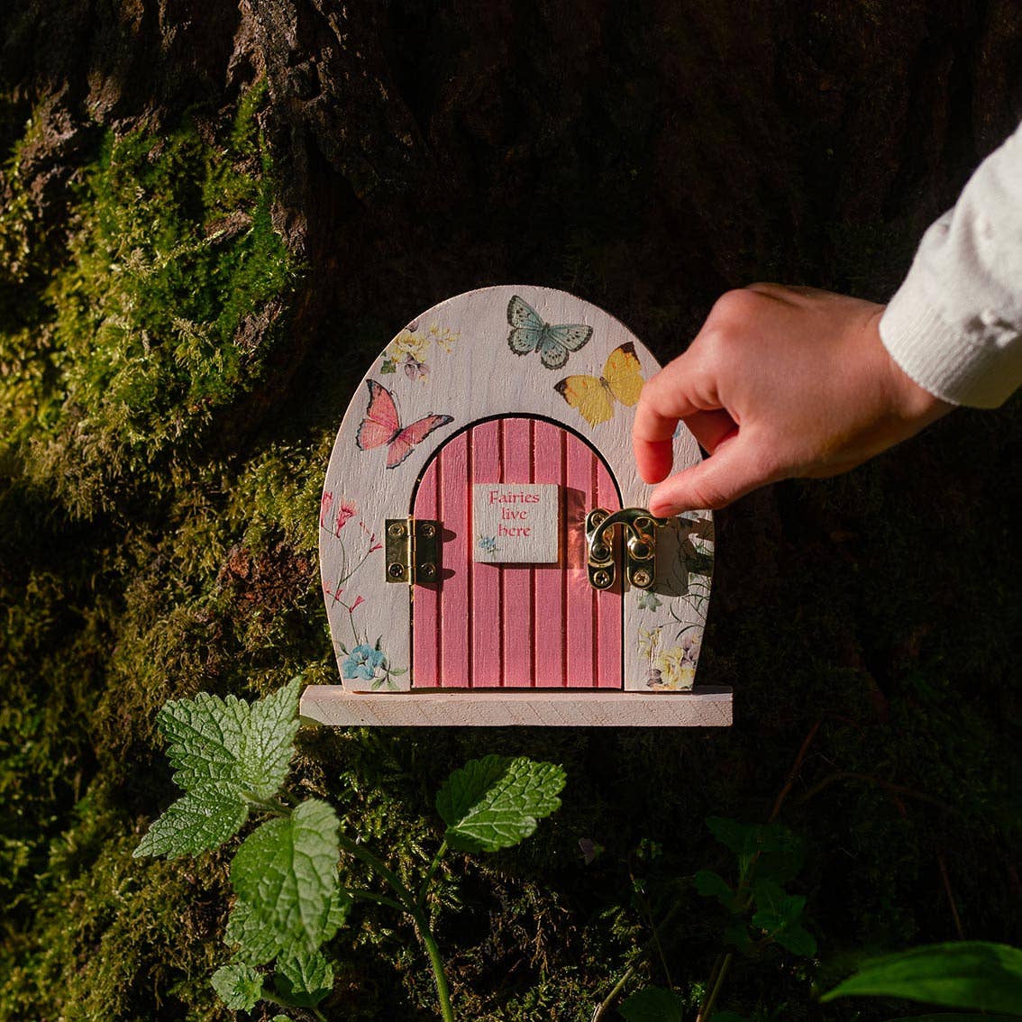 Wooden Fairy Door