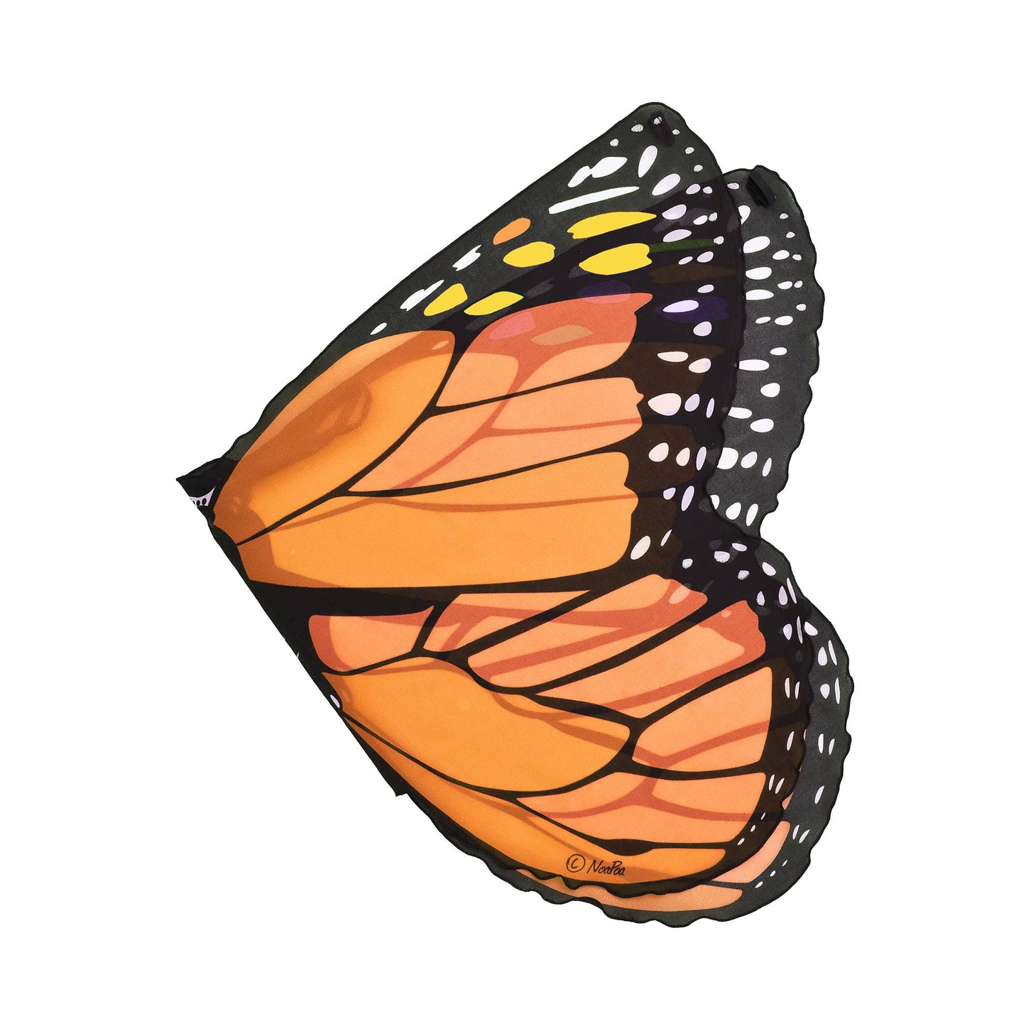 Dress Up Butterfly Wings