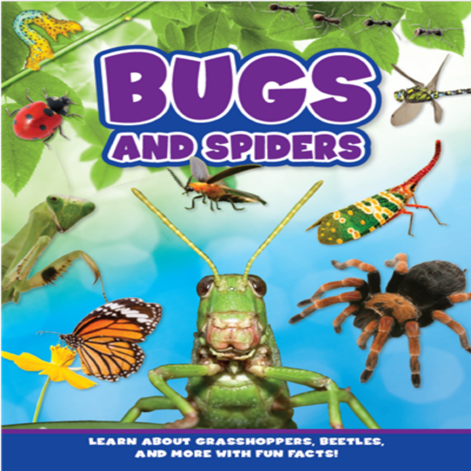 Bugs and Spiders hardcover book. Great gift for little kids who like to learn facts.